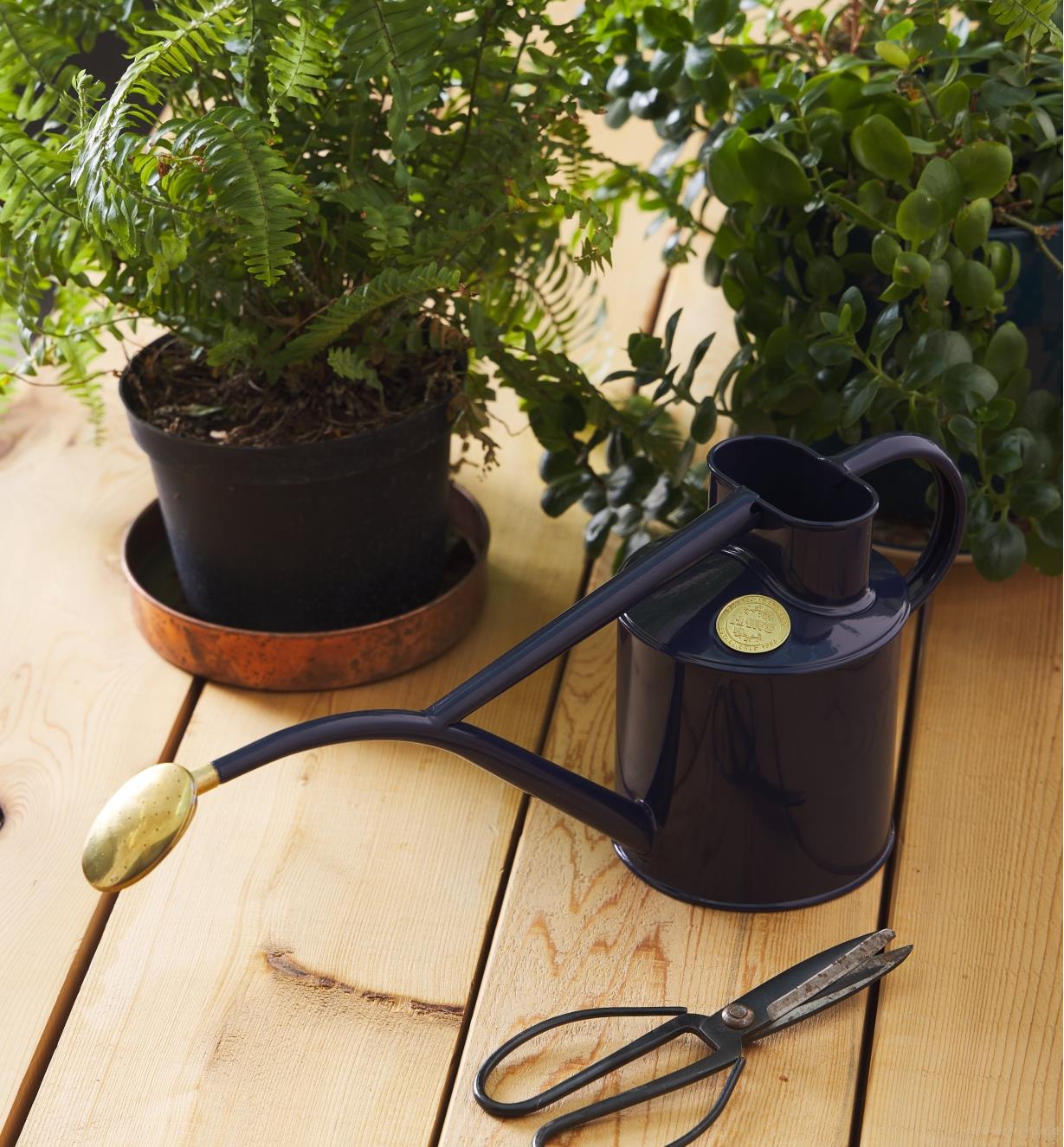 The Haws British blue watering can sitting on a table next to potted plants