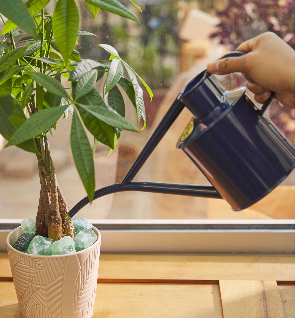 Watering a potted plant with the Haws British blue watering can