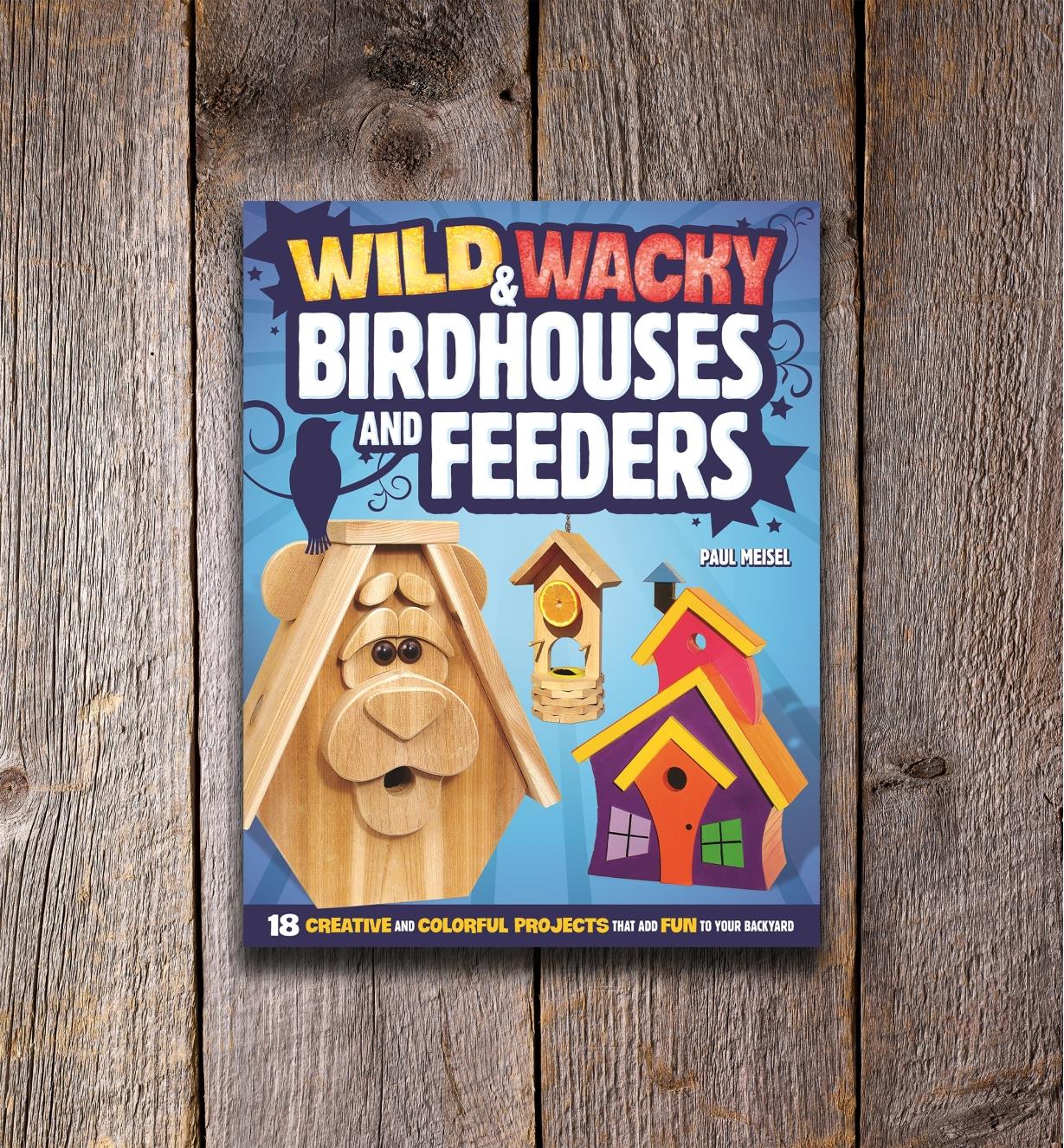 49L5110 - Wild and Wacky Birdhouses and Feeders