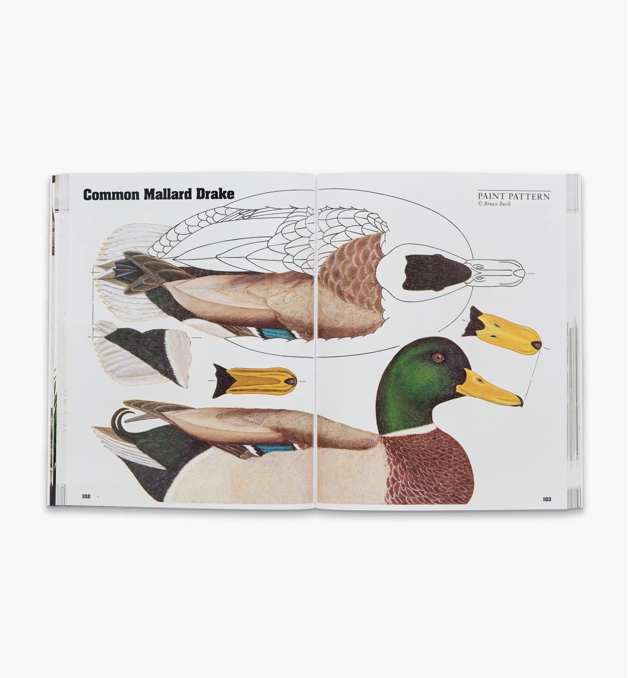 49L5365 - Decorative Decoy Carver's Ultimate Painting & Pattern Portfolio, Series One, Revised Edition