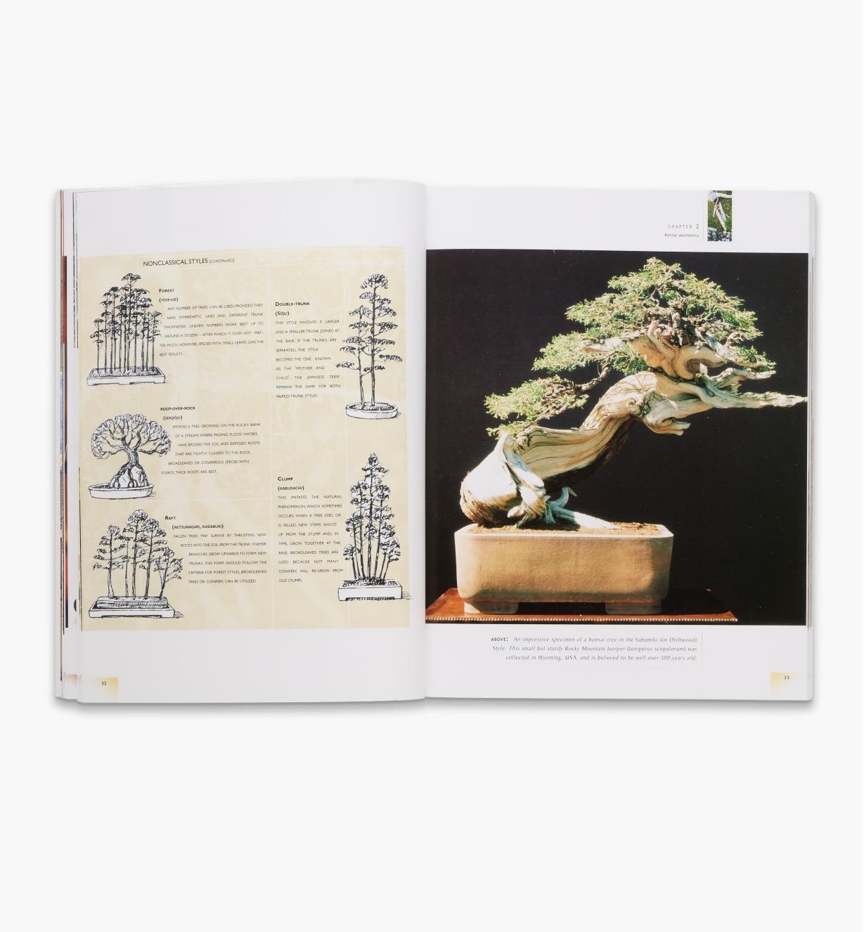 LA383 - The Bonsai Handbook