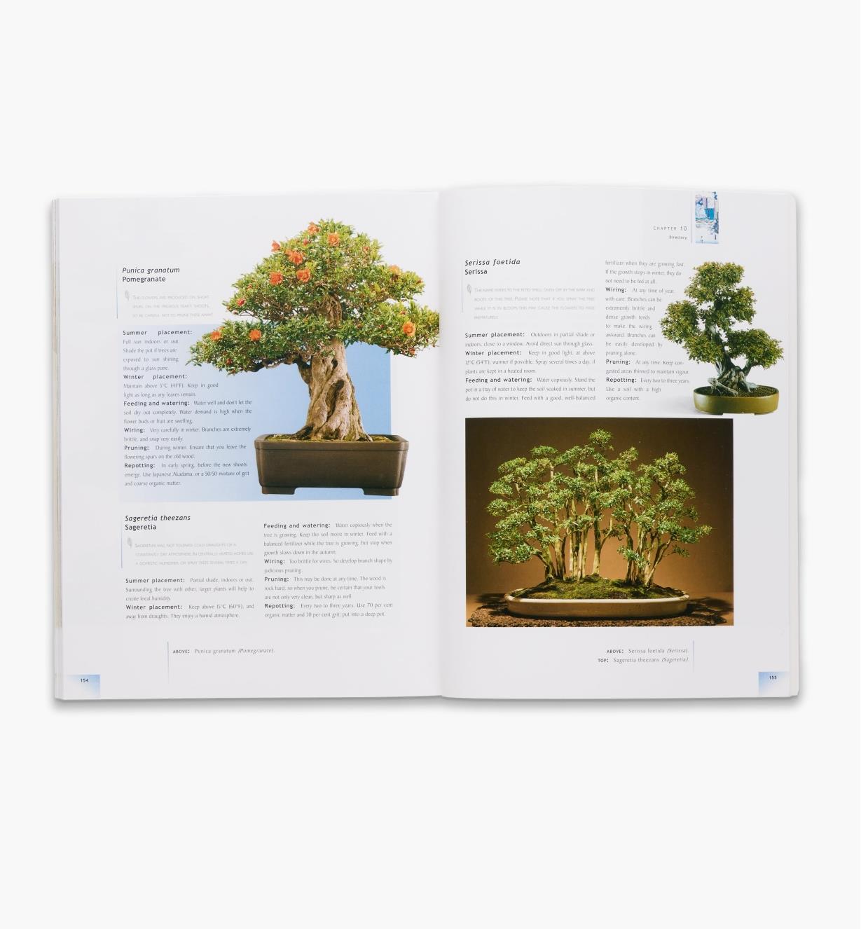 LA383 - The Bonsai Handbook