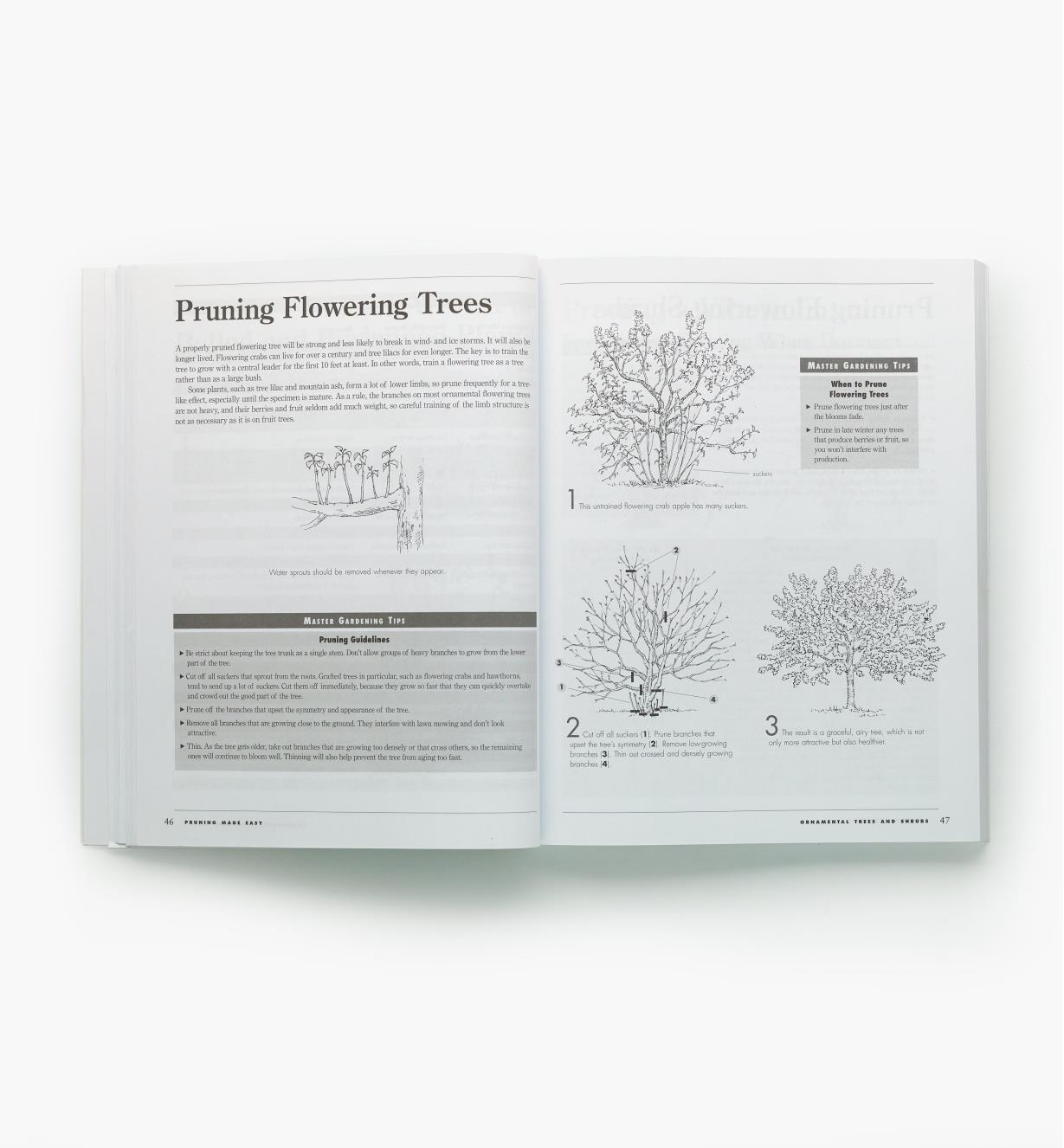 LA614 - Pruning Made Easy