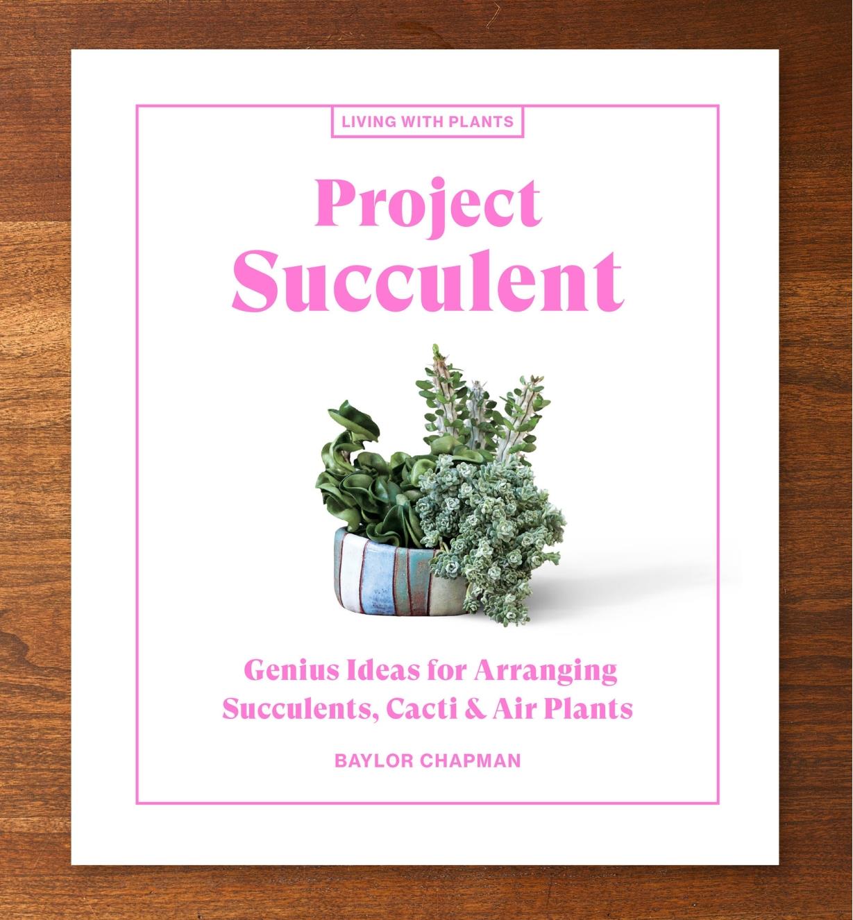 LA668 - Project Succulent