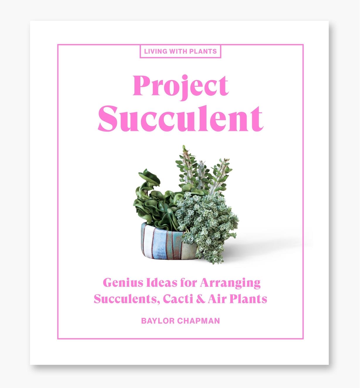 LA668 - Project Succulent