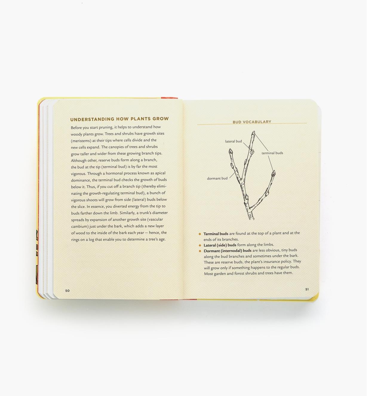 LA675 - Pruning Answer Book