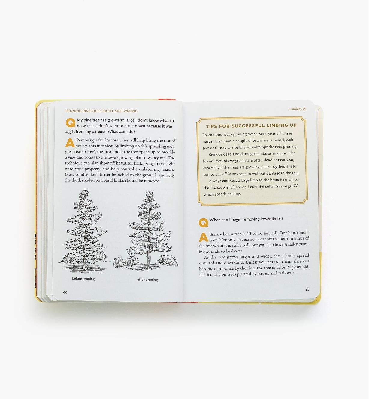 LA675 - Pruning Answer Book