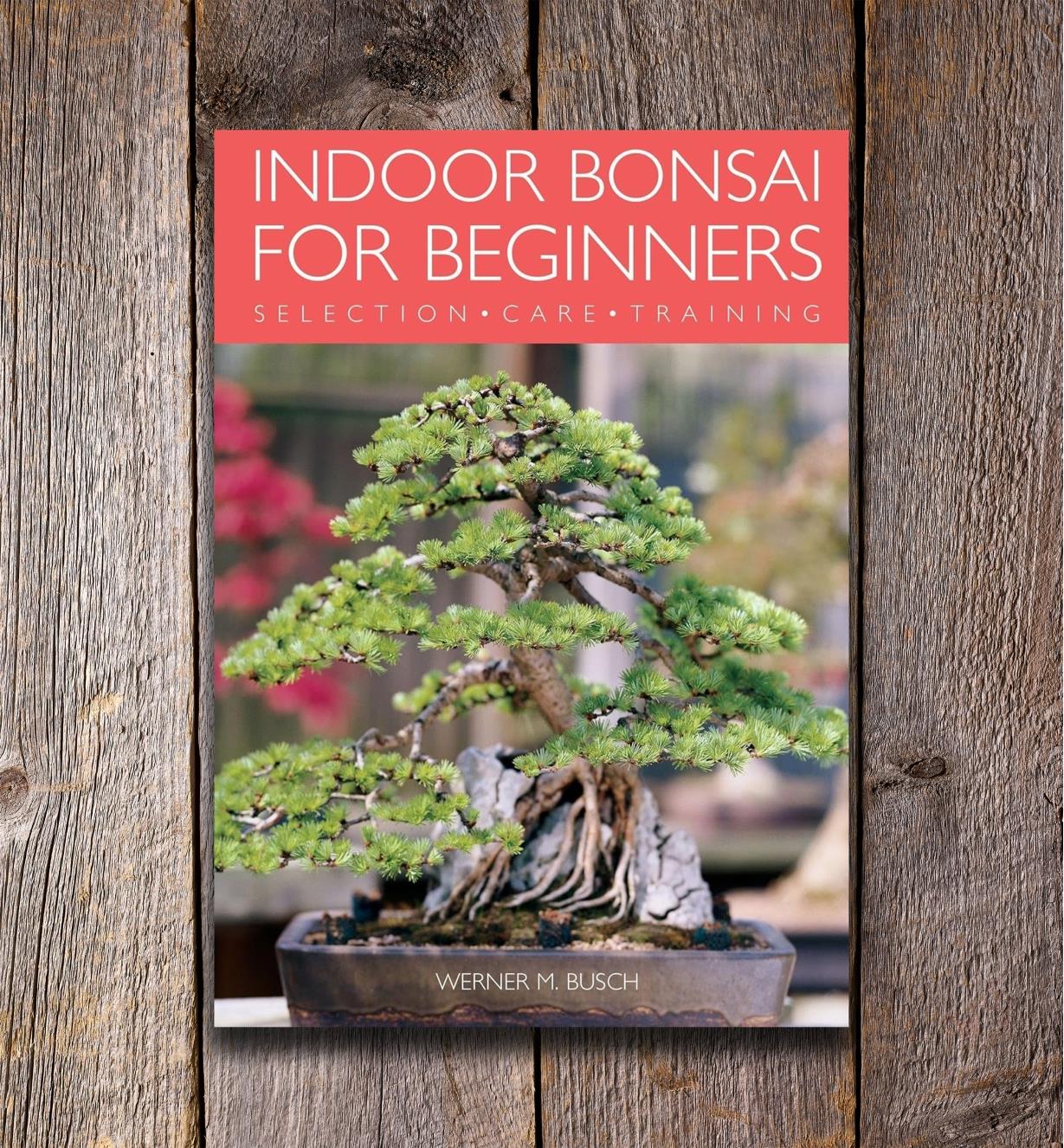 LA680 - Indoor Bonsai for Beginners