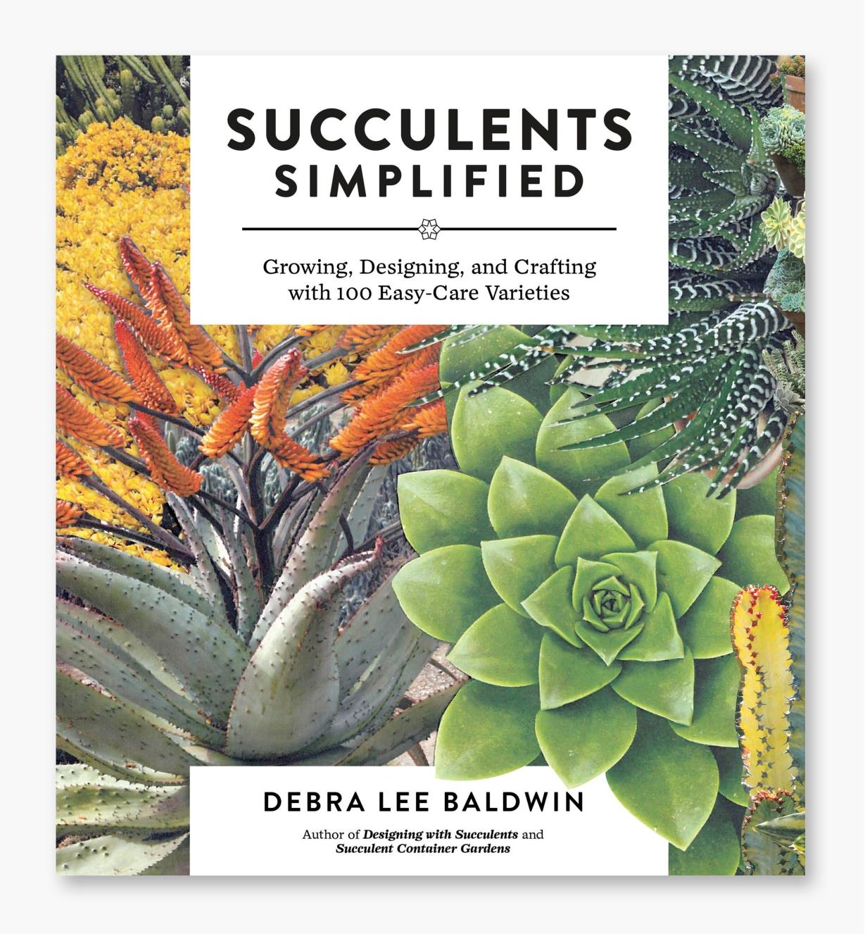 LA686 - Succulents Simplified