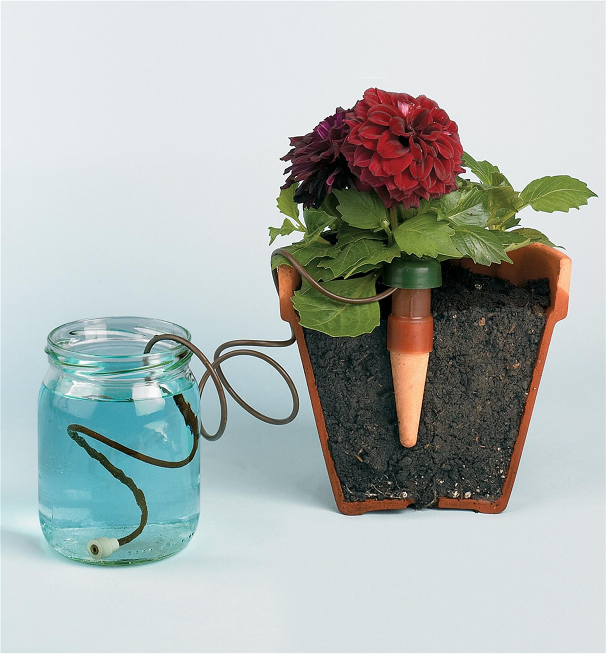 5pcs Bottle Top Self-Watering Tool Automatic Flower Plant Water Feeder Spri T6U0