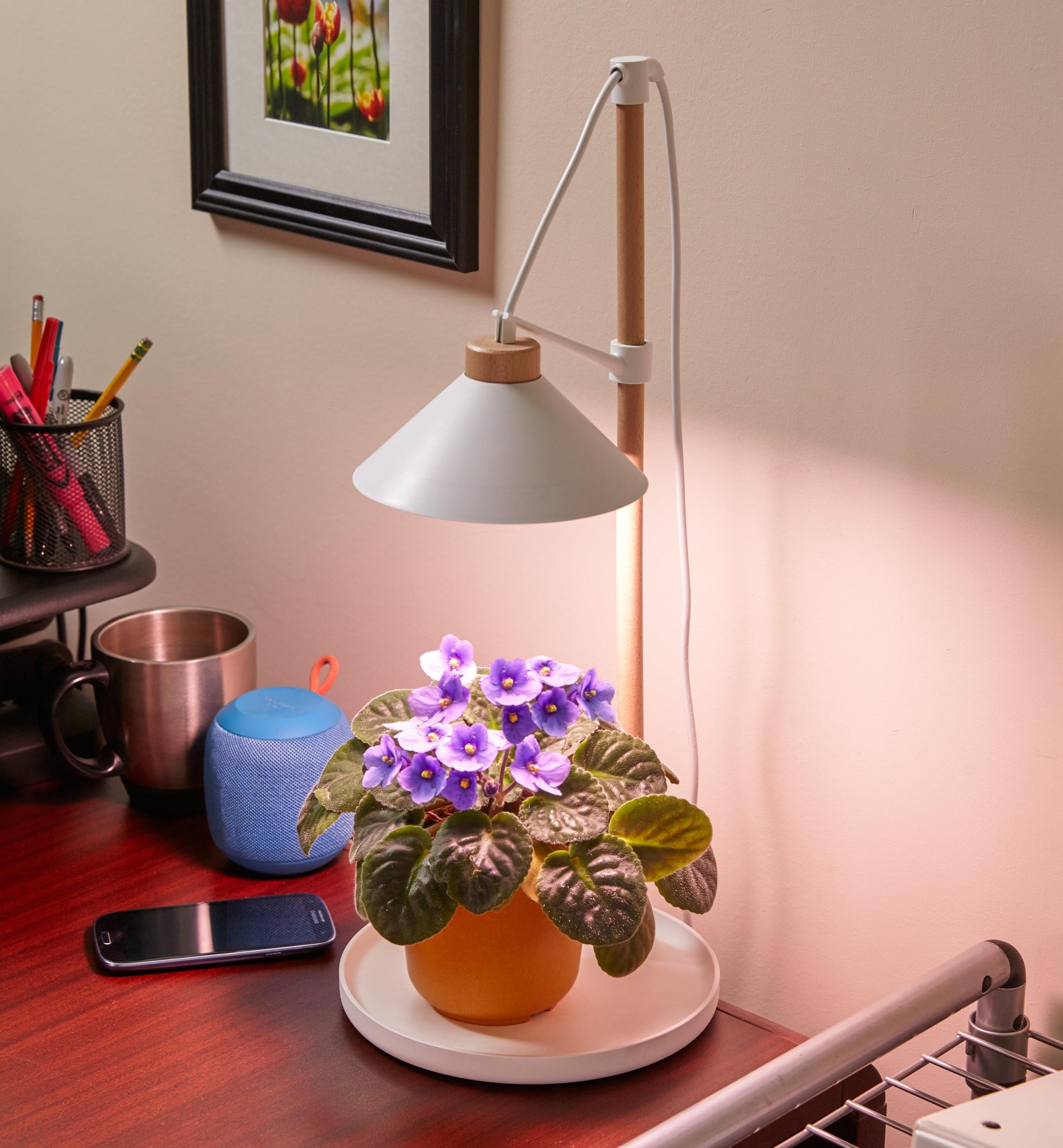 SALE_Mini LED Office Desktop Grow Light Adjustable Height_Flowers_Herbs!  